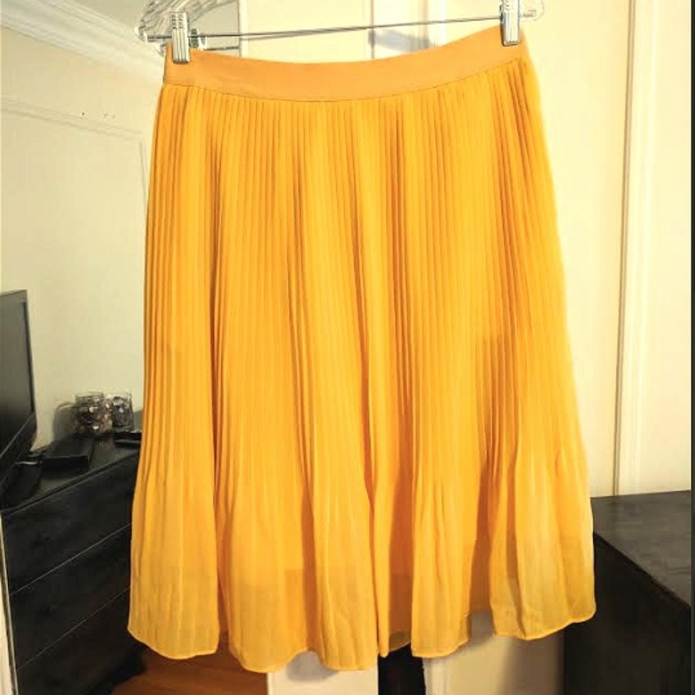Pleated Skirt